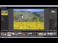 How to Crop an Image in Adobe Lightroom 3 - Lightroom Video Tutorial