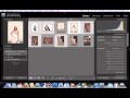 A (very!) basic Lightroom tutorial