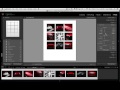 Lightroom Tutorial: Creating a Poster from the Audi R8 Shoot