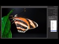 Learn Lightroom 5 - Part 23: Developing a Macro (Training Tutorial)
