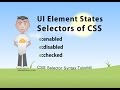 CSS UI Element States Selectors Tutorial
