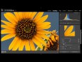 Sharpening in Lightroom 4