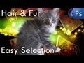 Photoshop Tutorial – How To Select Fur & Hair Easily (Quick Select Tool Photo Image Editing)